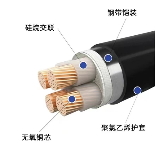 www.qvxti.cn