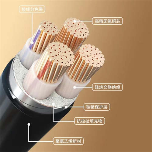 www.qvxti.cn