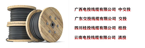www.qvxti.cn