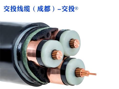 www.qvxti.cn